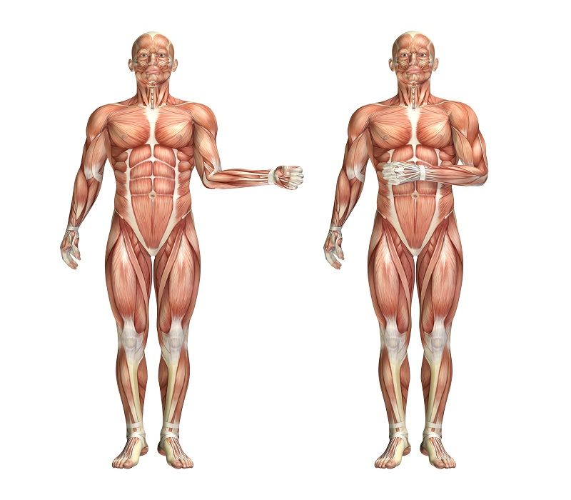 iofbodies.com